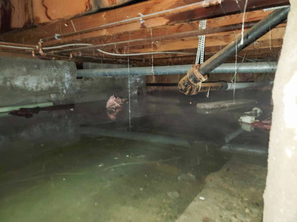 Best Fire Damage Restoration  in Huguley, AL